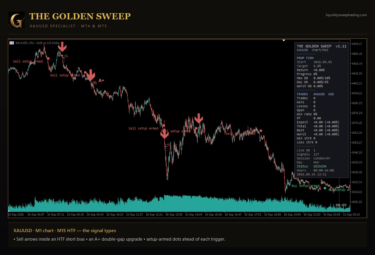The Golden Sweep sur MetaTrader 5 — XAUUSD M1 avec flèches de vente dans un biais vendeur, une amélioration A+ et des points « setup armé »